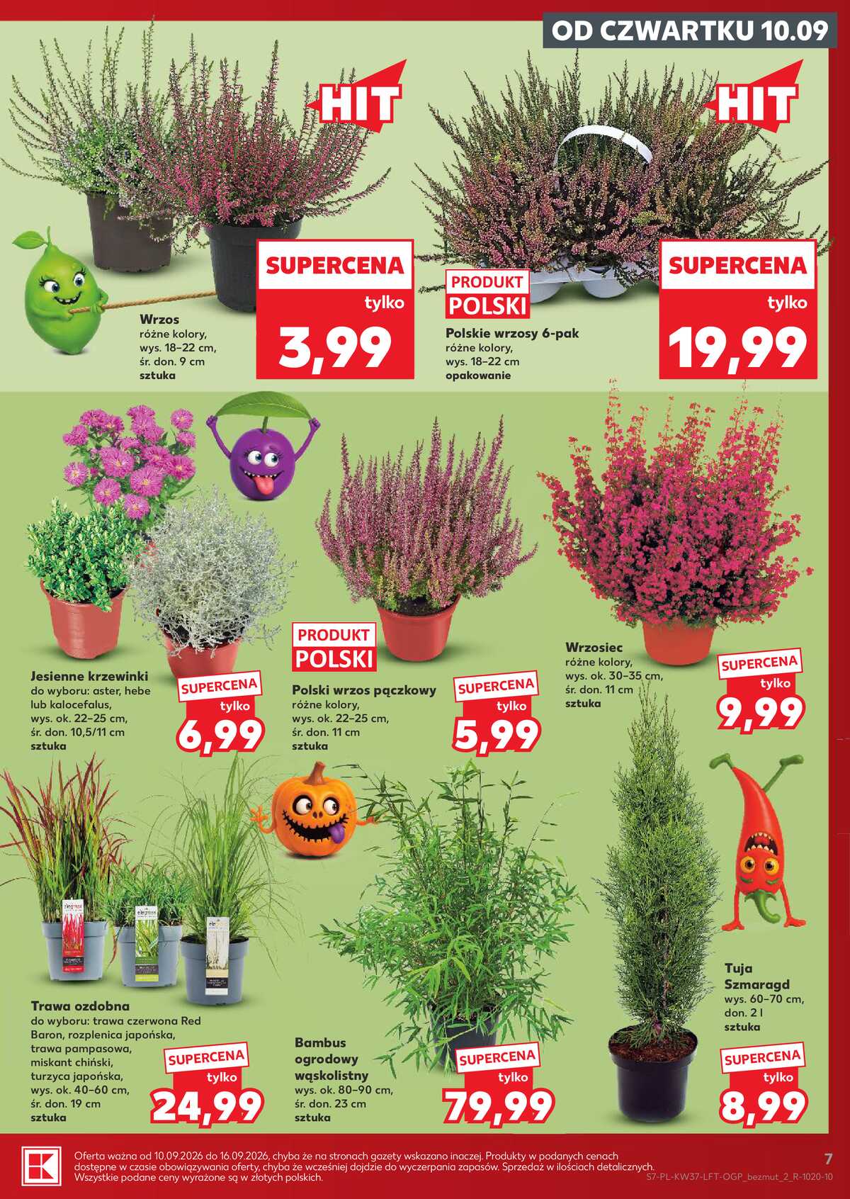 Leták Kaufland Polsko 10.9.-16.9.2026 - Týdenní zpravodaj strana 7
