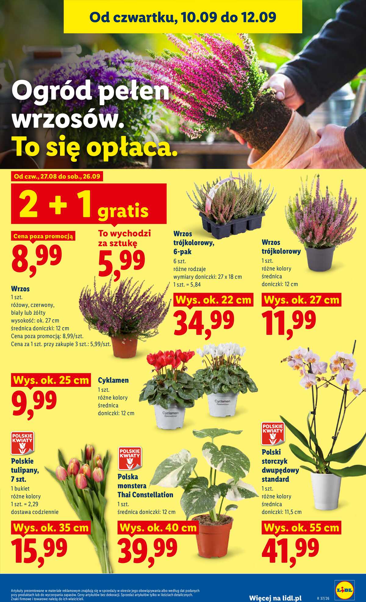 Leták Lidl Polsko 10.9.-12.9.2026 - Leták platí od 10. září do 12. září strana 83