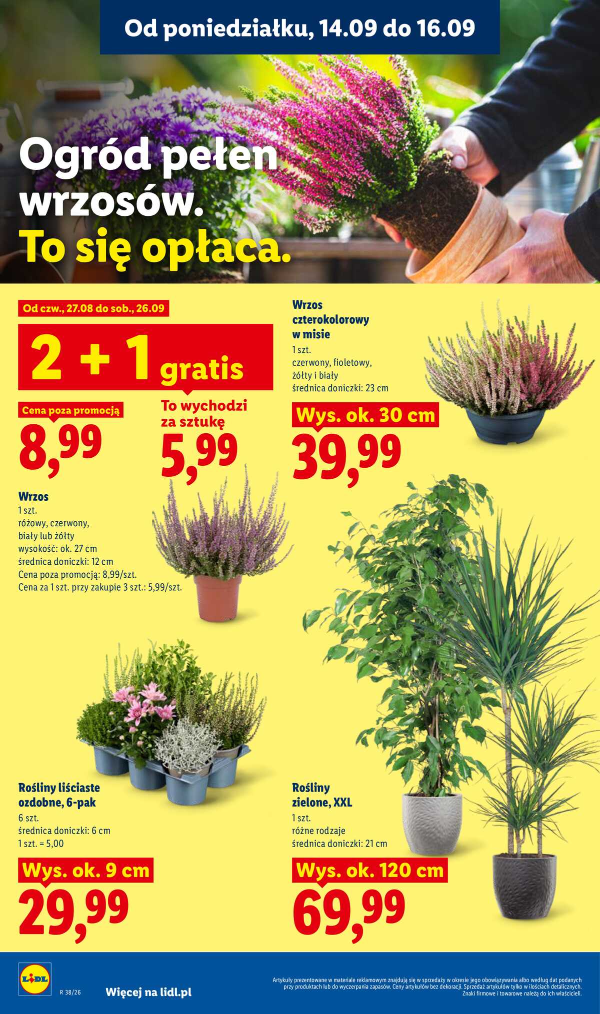 Leták Lidl Polsko 14.9.-16.9.2026 - Leták platí od 14. 9. do 16. 9. strana 78