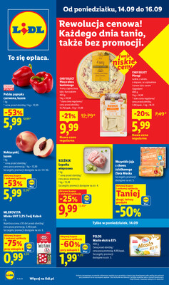 Lidl Polsko (Polska) letáky
