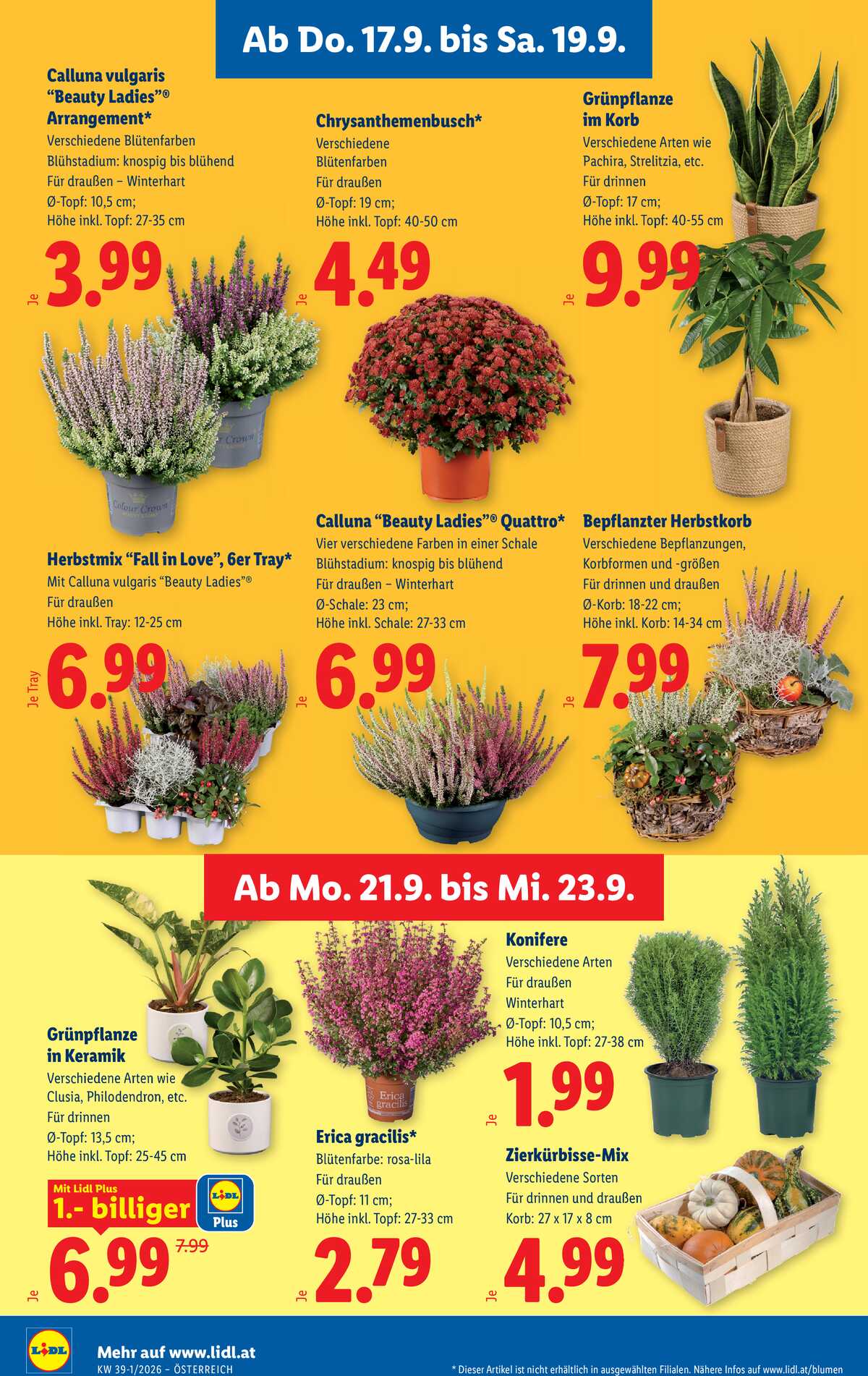 Leták Lidl Rakousko 17.9.-23.9.2026 strana 28