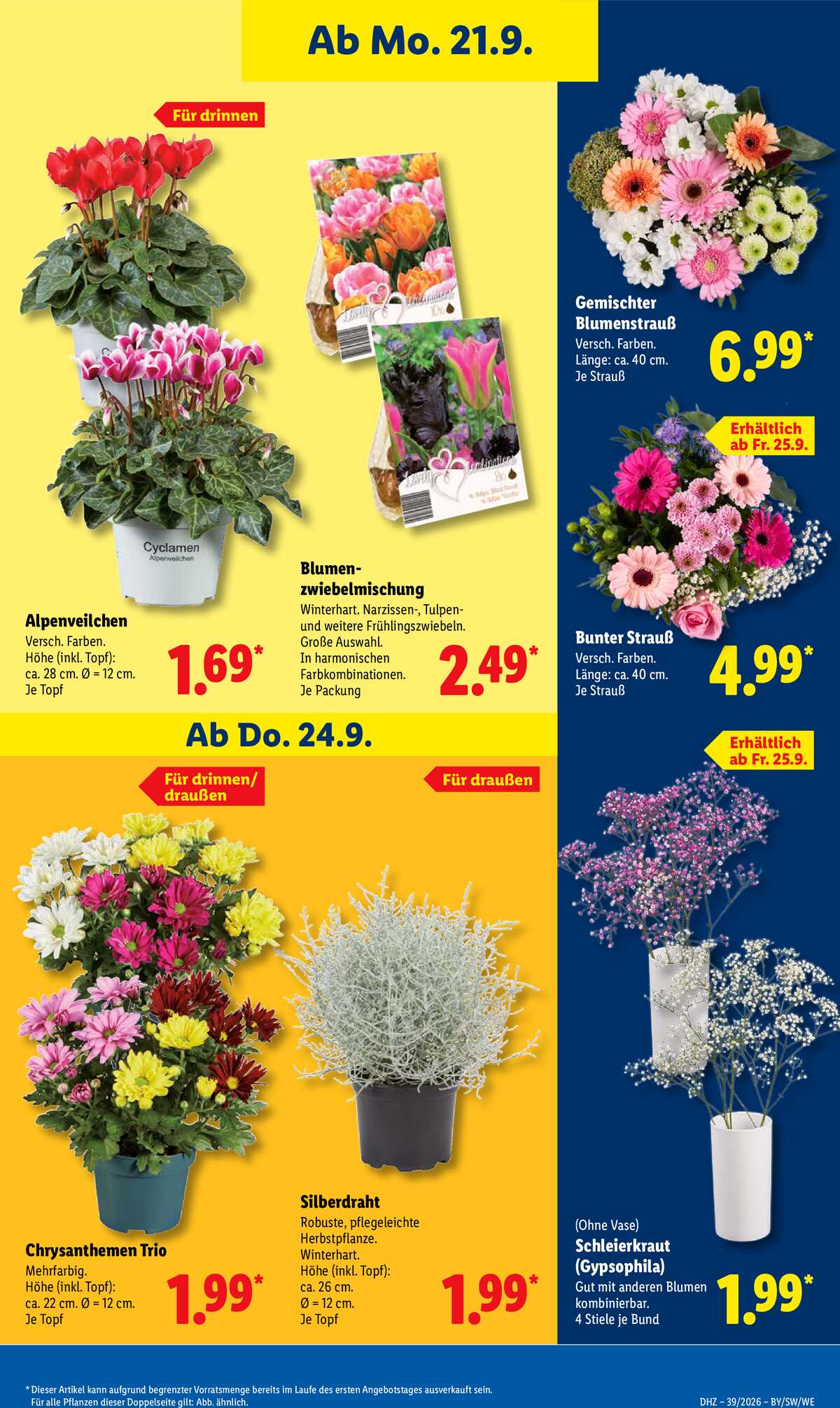 Leták Lidl Německo 21.9.-26.9.2026 strana 21
