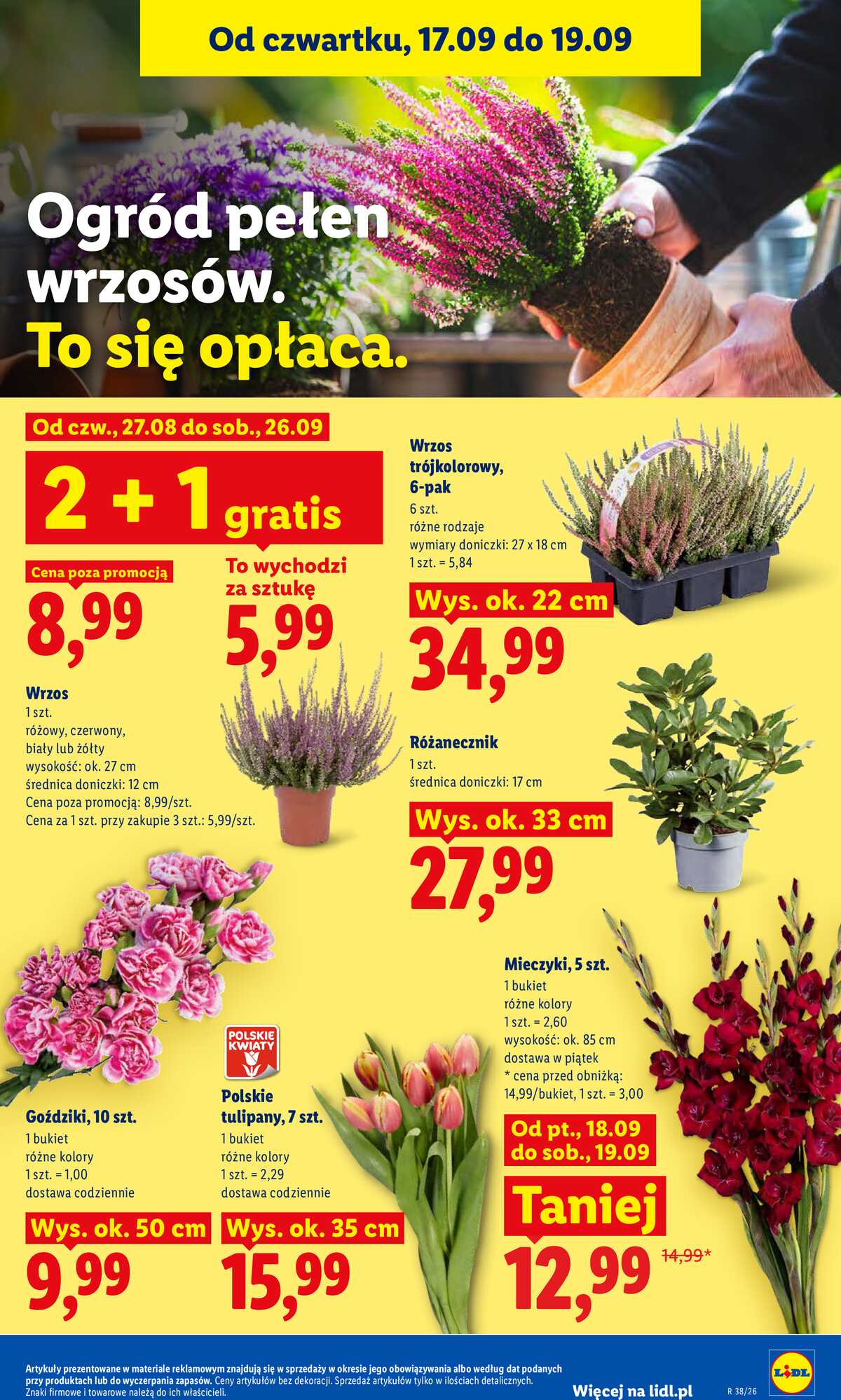 Leták Lidl Polsko 17.9.-19.9.2026 - Leták platný od 17. 9. do 19. 9. strana 85