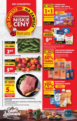 Biedronka Polsko (Polska) letáky