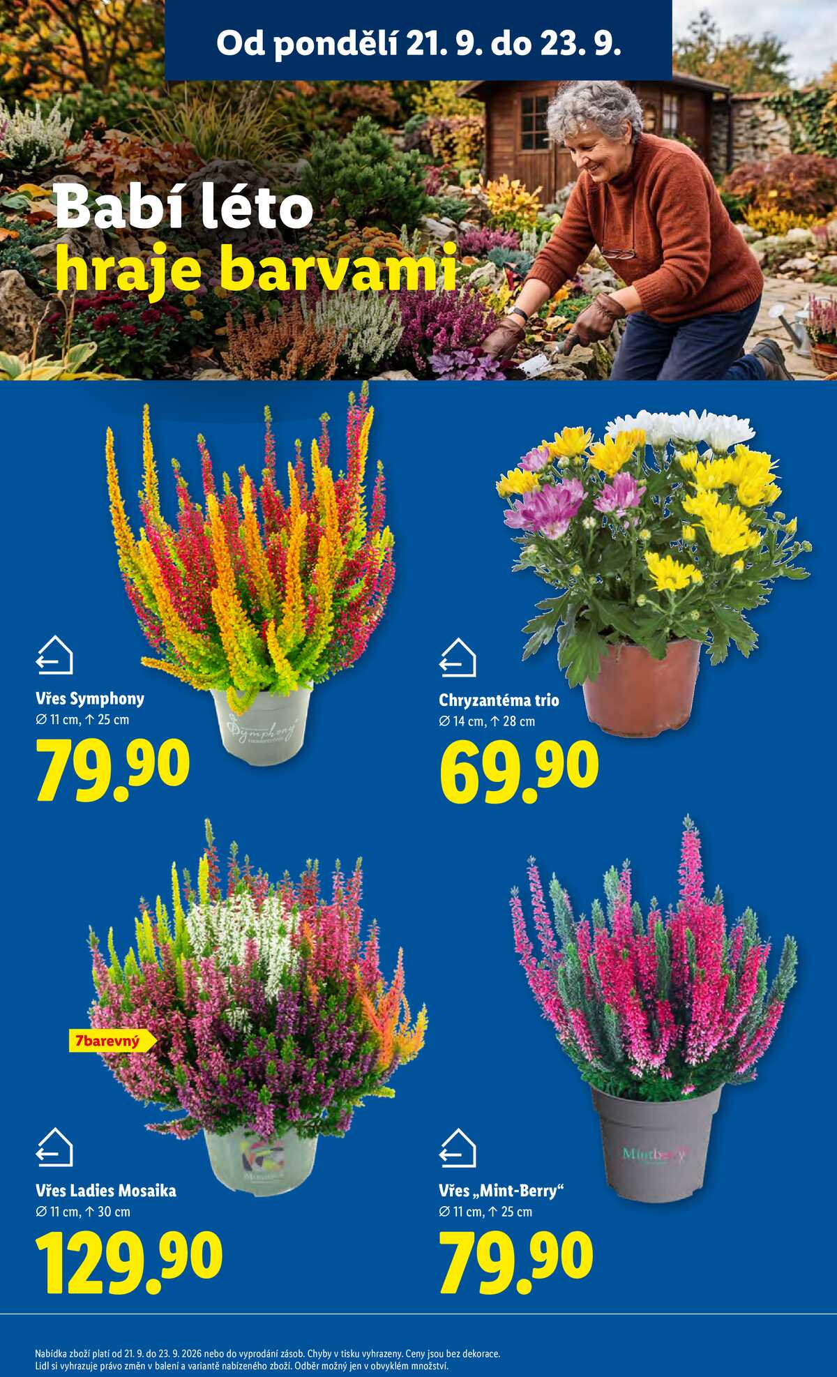 Lidl od 21.9. do 23.9.2026 strana 13