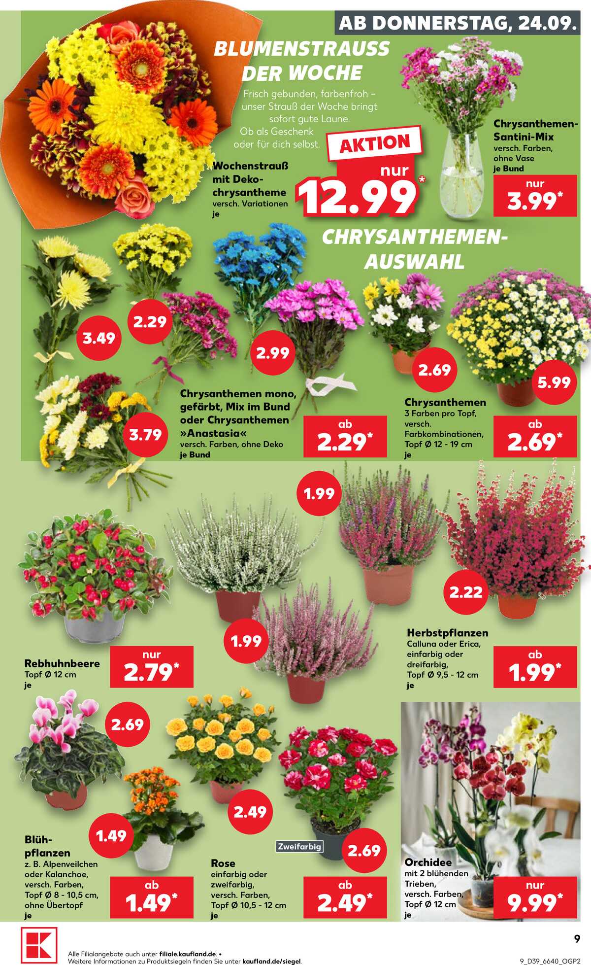 Leták Kaufland Německo 24.9.-30.9.2026 strana 9