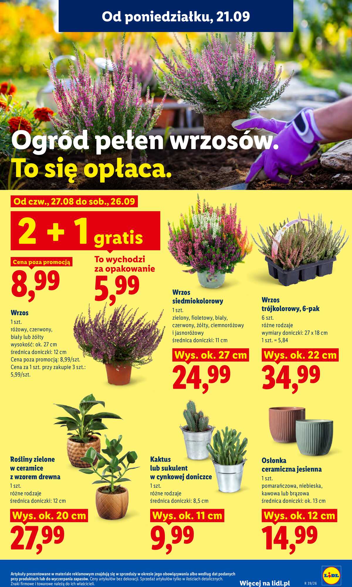Leták Lidl Polsko 21.9.-23.9.2026 - Leták platí od 21. 9. do 23. 9. strana 91