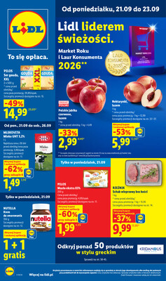Lidl Polsko (Polska) letáky