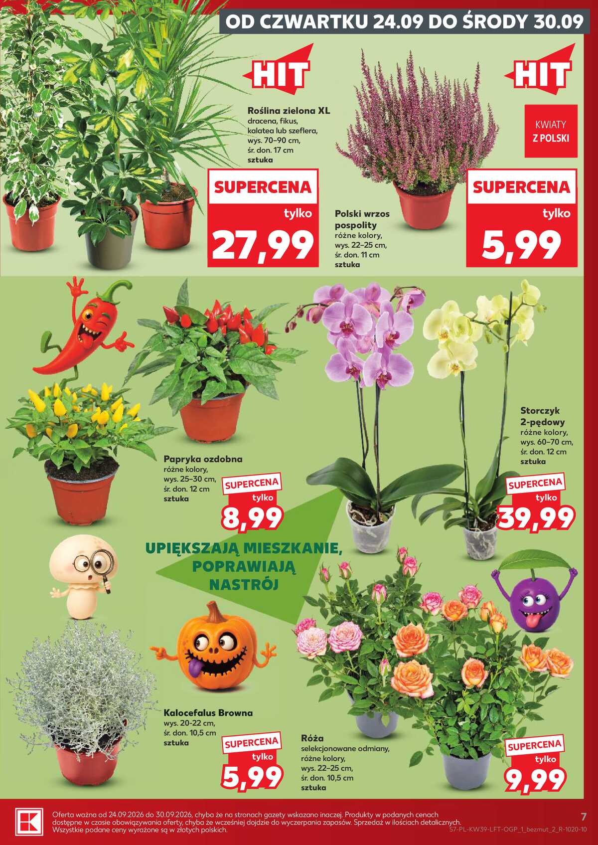 Leták Kaufland Polsko 24.9.-30.9.2026 - Týdenní zpravodaj strana 7