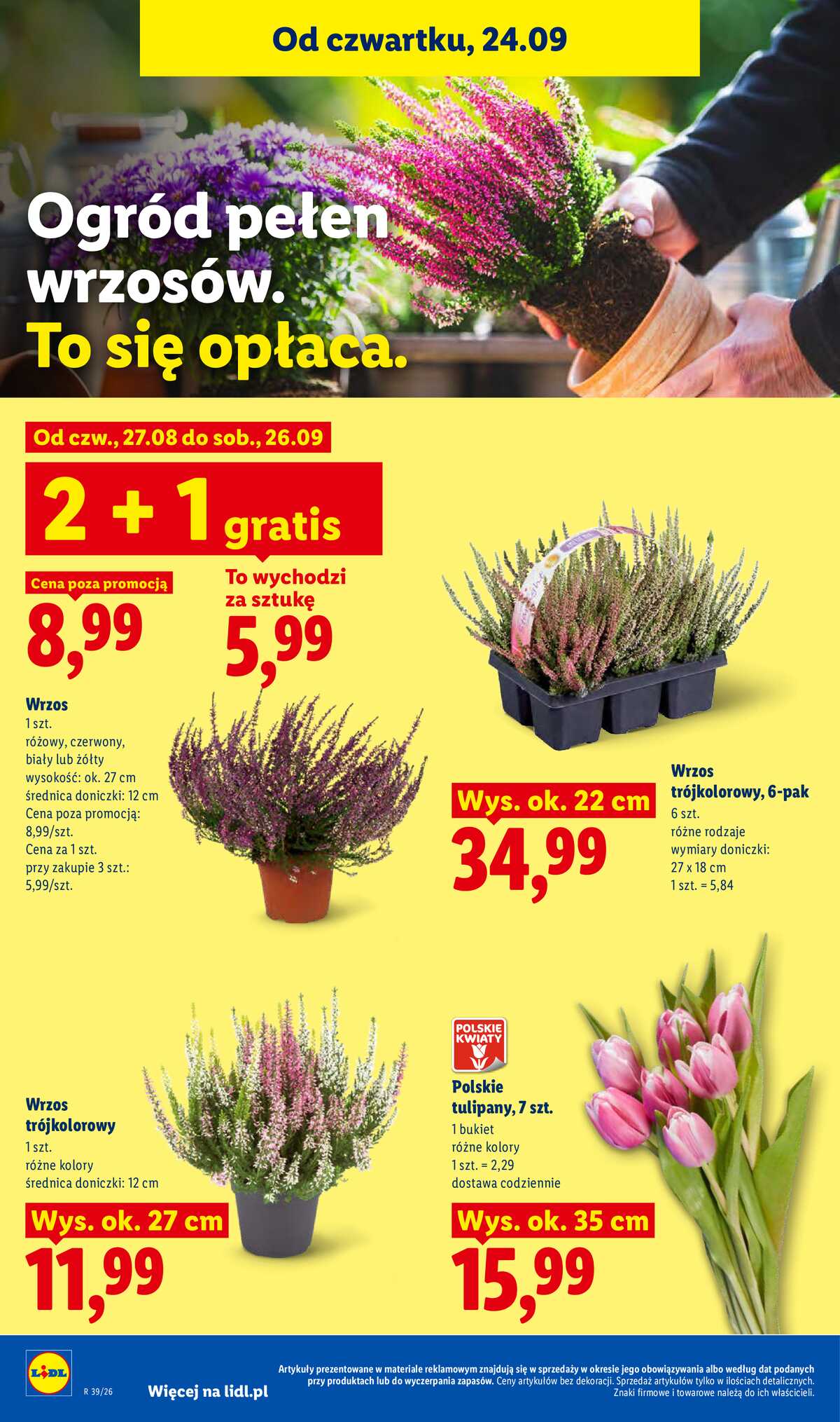 Leták Lidl Polsko 24.9.-26.9.2026 - Leták platí od 24. 9. do 26. 9. strana 100