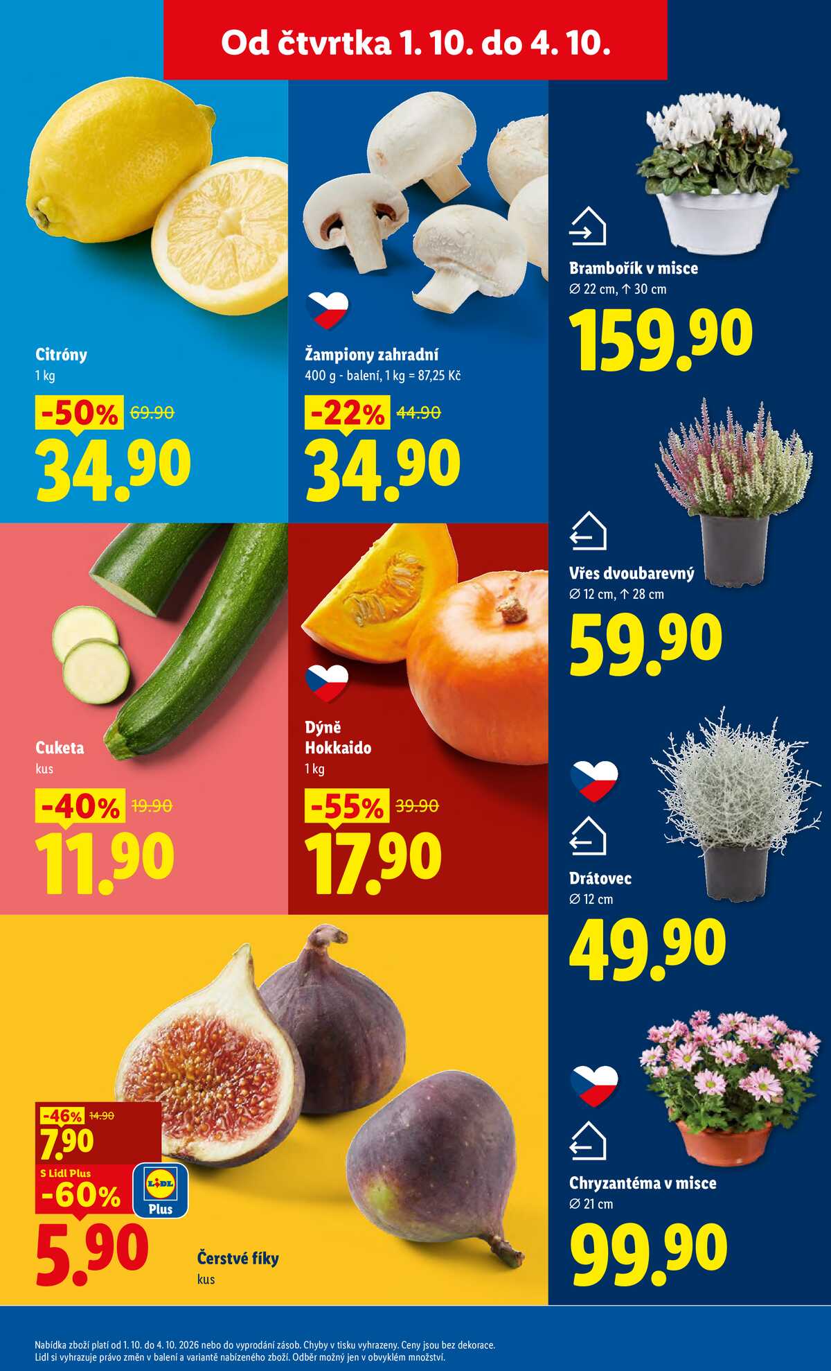 Lidl Čtvrtek od 1.10. do 4.10.2026 strana 13