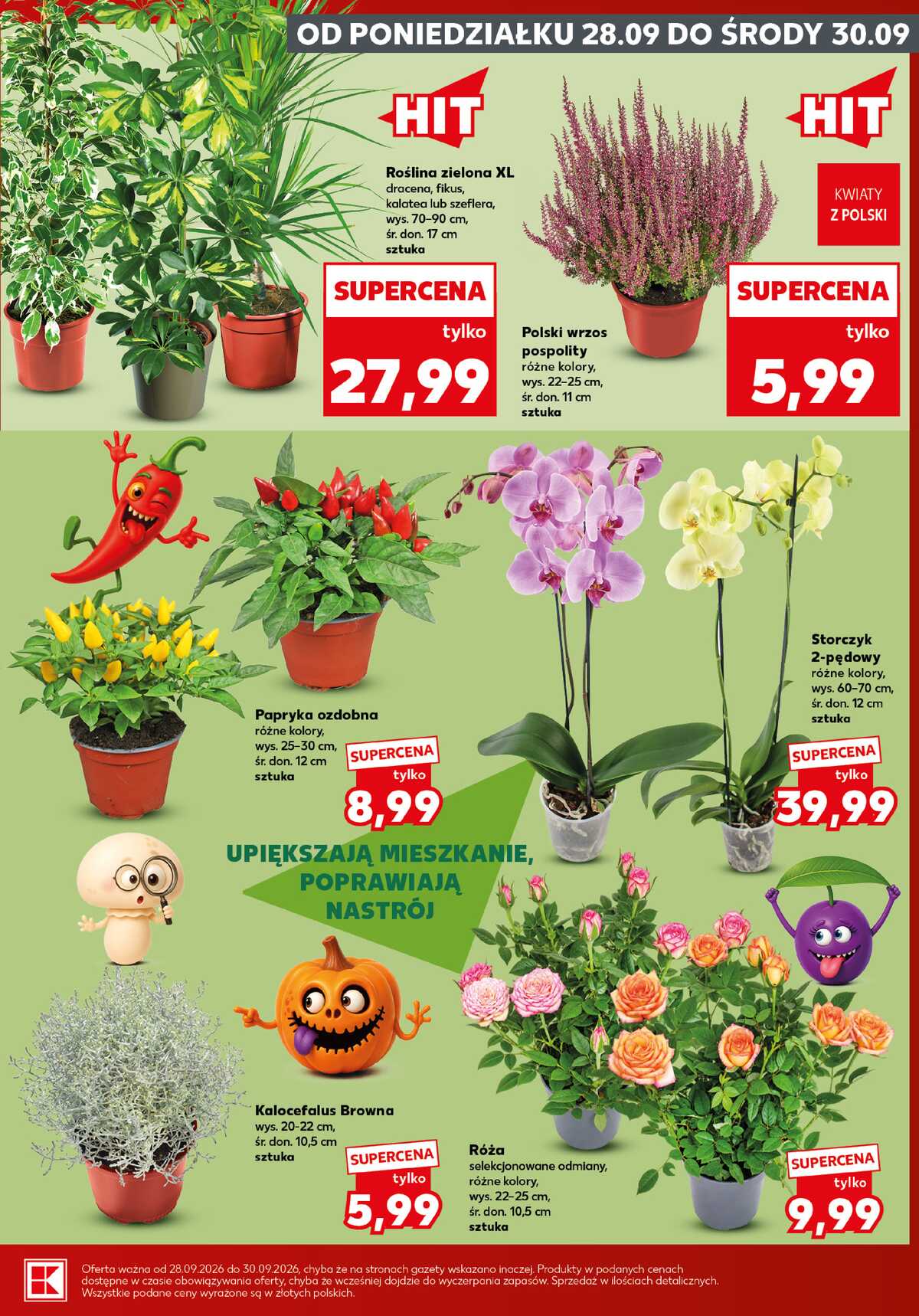 Leták Kaufland Polsko 28.9.-30.9.2026 - Silný start strana 5