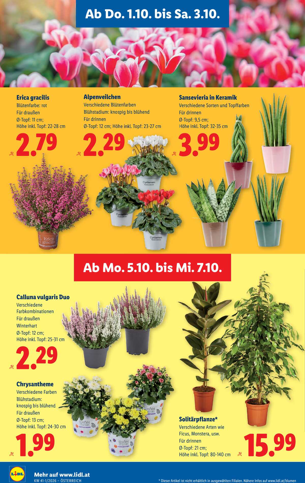 Leták Lidl Rakousko 1.10.-7.10.2026 strana 30