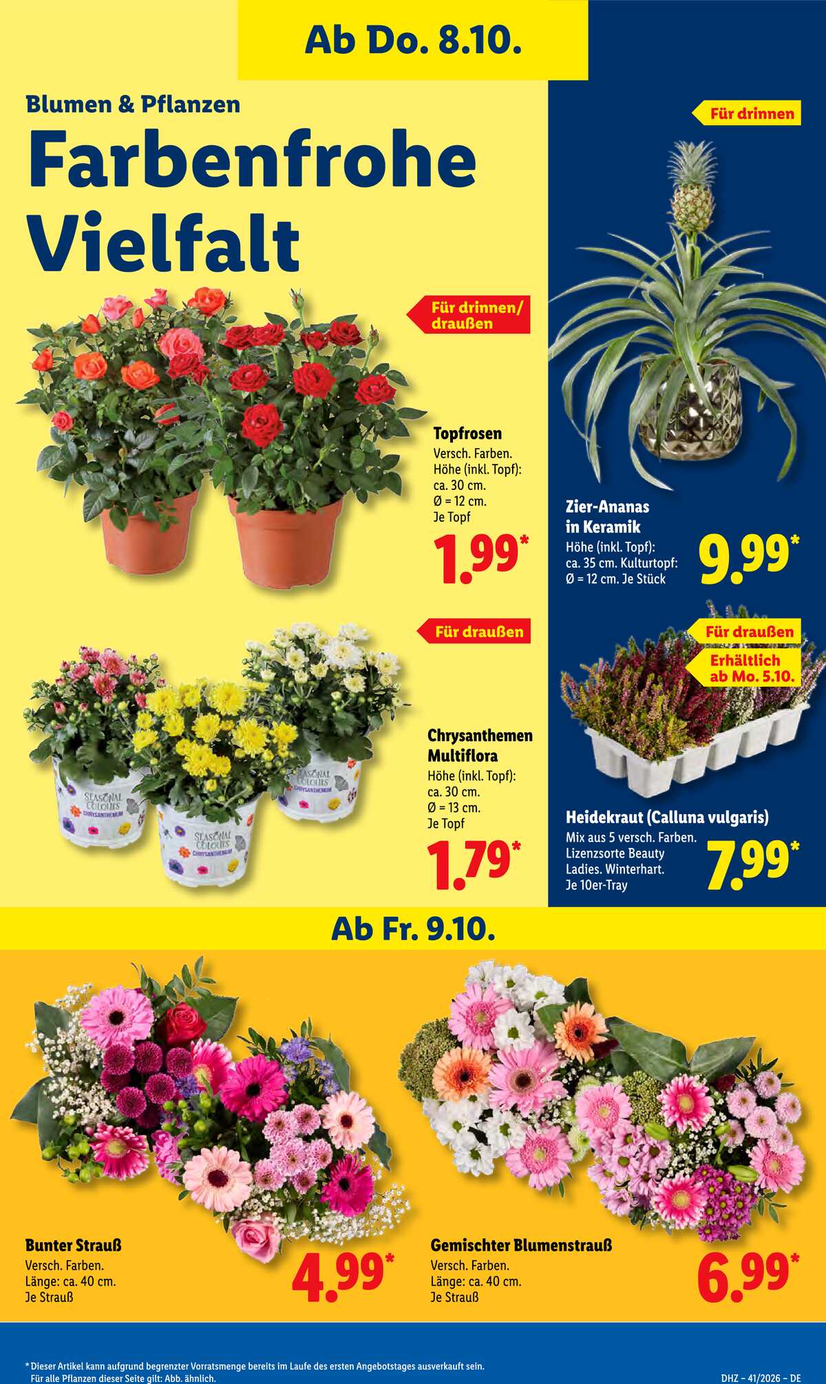 Leták Lidl Německo 5.10.-10.10.2026 strana 17