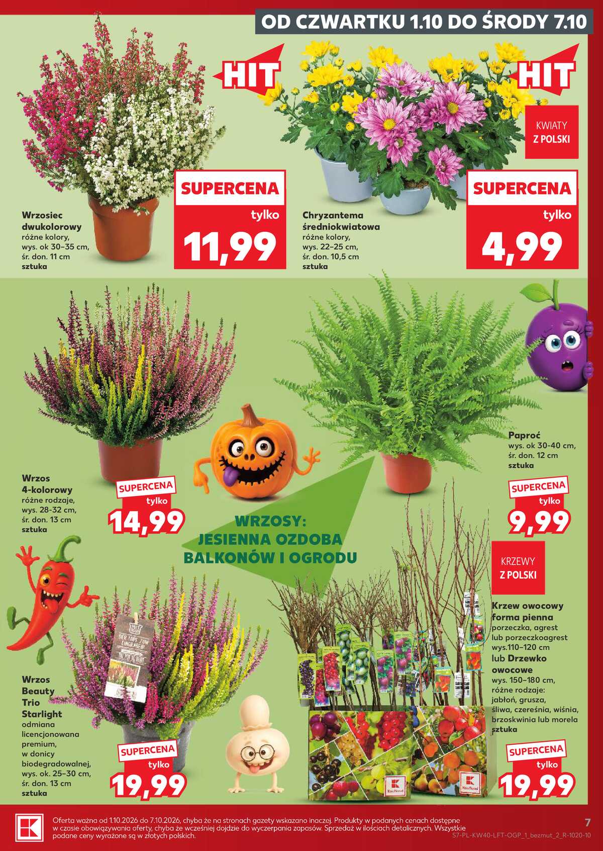 Leták Kaufland Polsko 1.10.-7.10.2026 - Týdenní zpravodaj strana 7