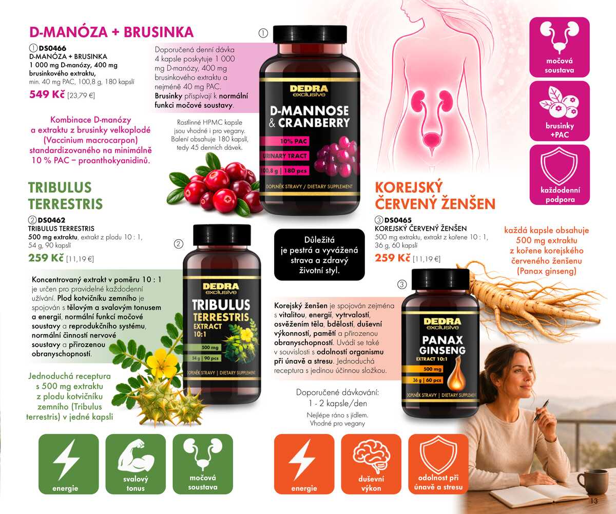 Dedra Katalog  strana 13