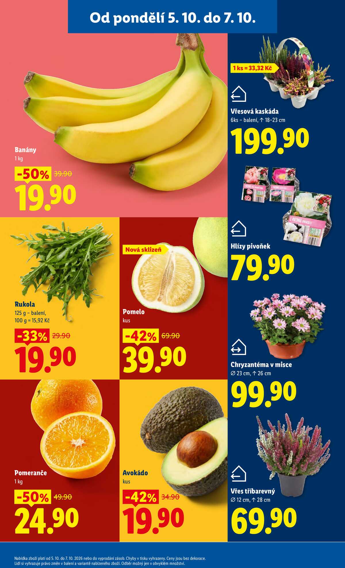 Lidl od 5.10. do 7.10.2026 strana 15
