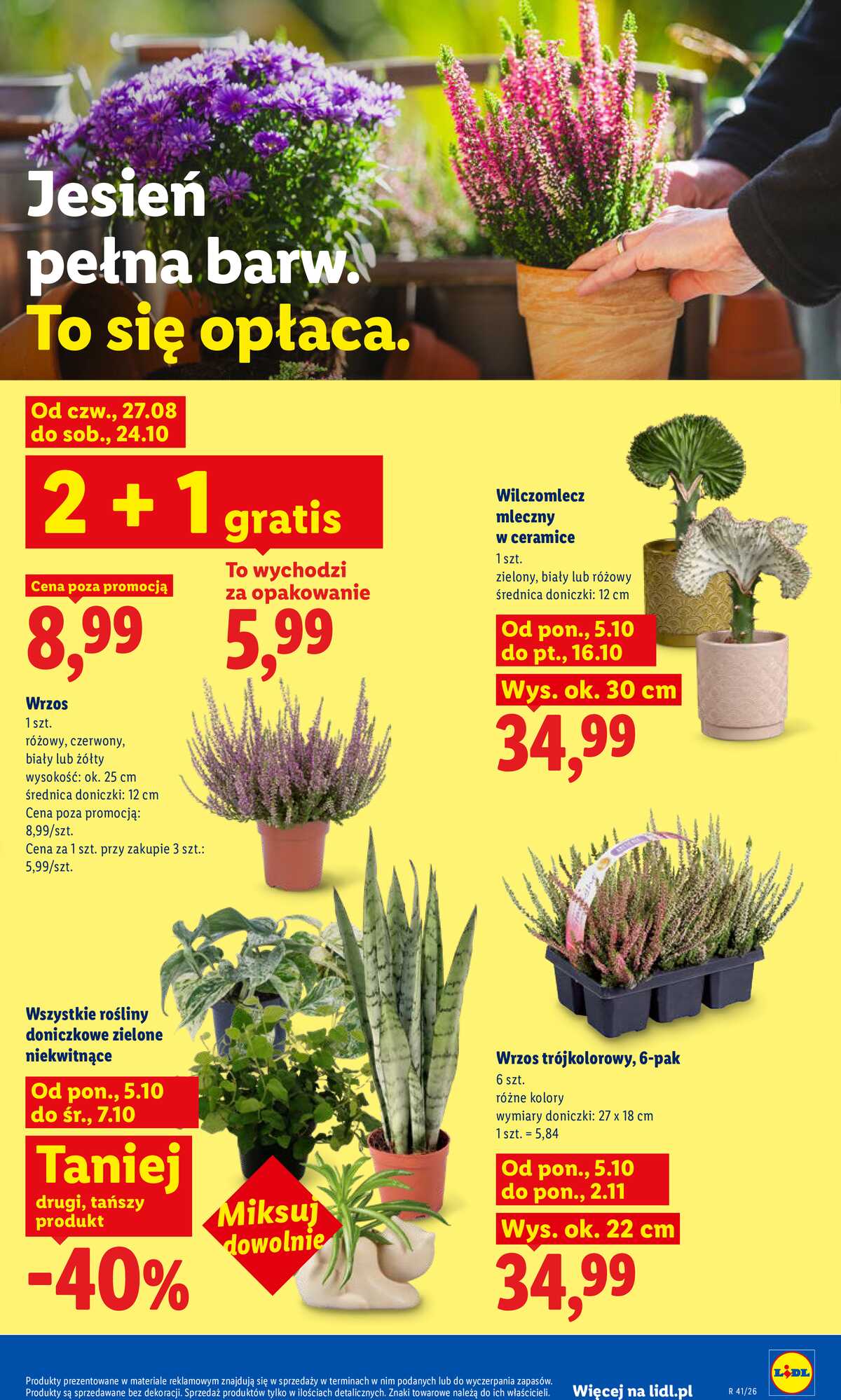 Leták Lidl Polsko 5.10.-7.10.2026 - Leták strana 89