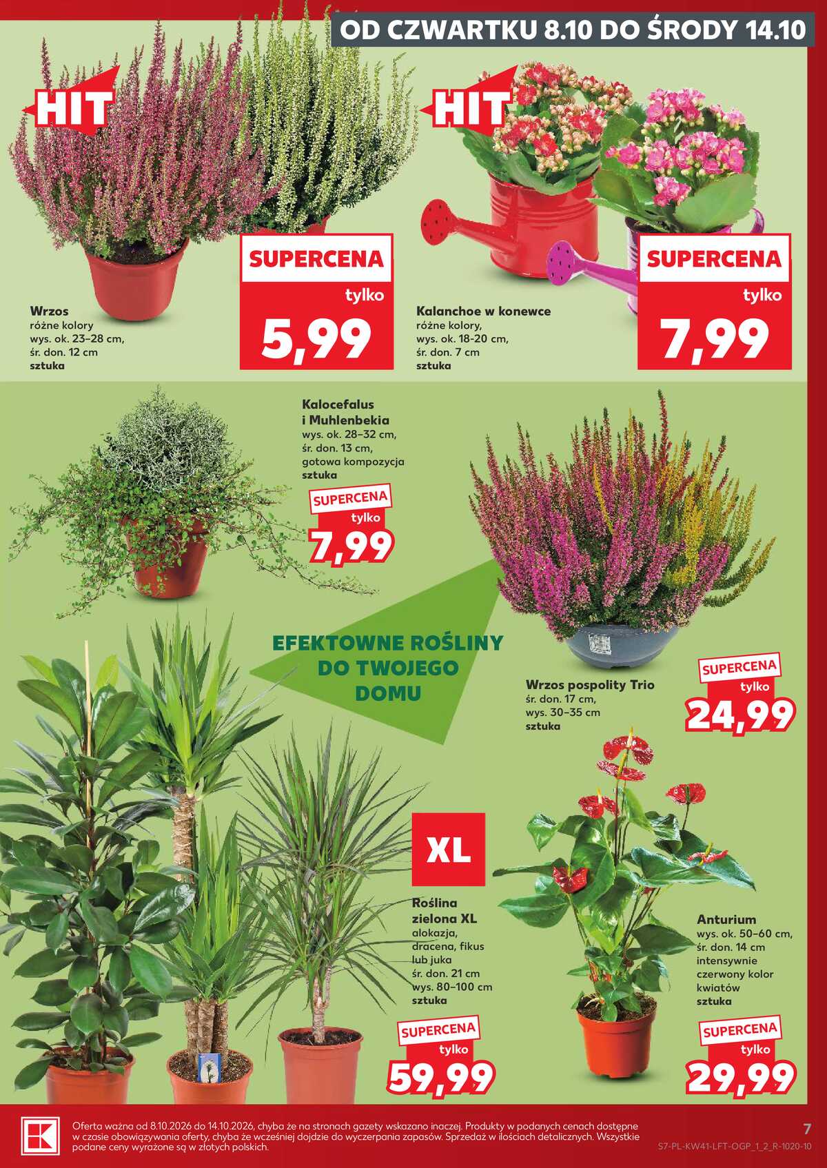 Leták Kaufland Polsko 8.10.-14.10.2026 - Týdenní zpravodaj strana 7
