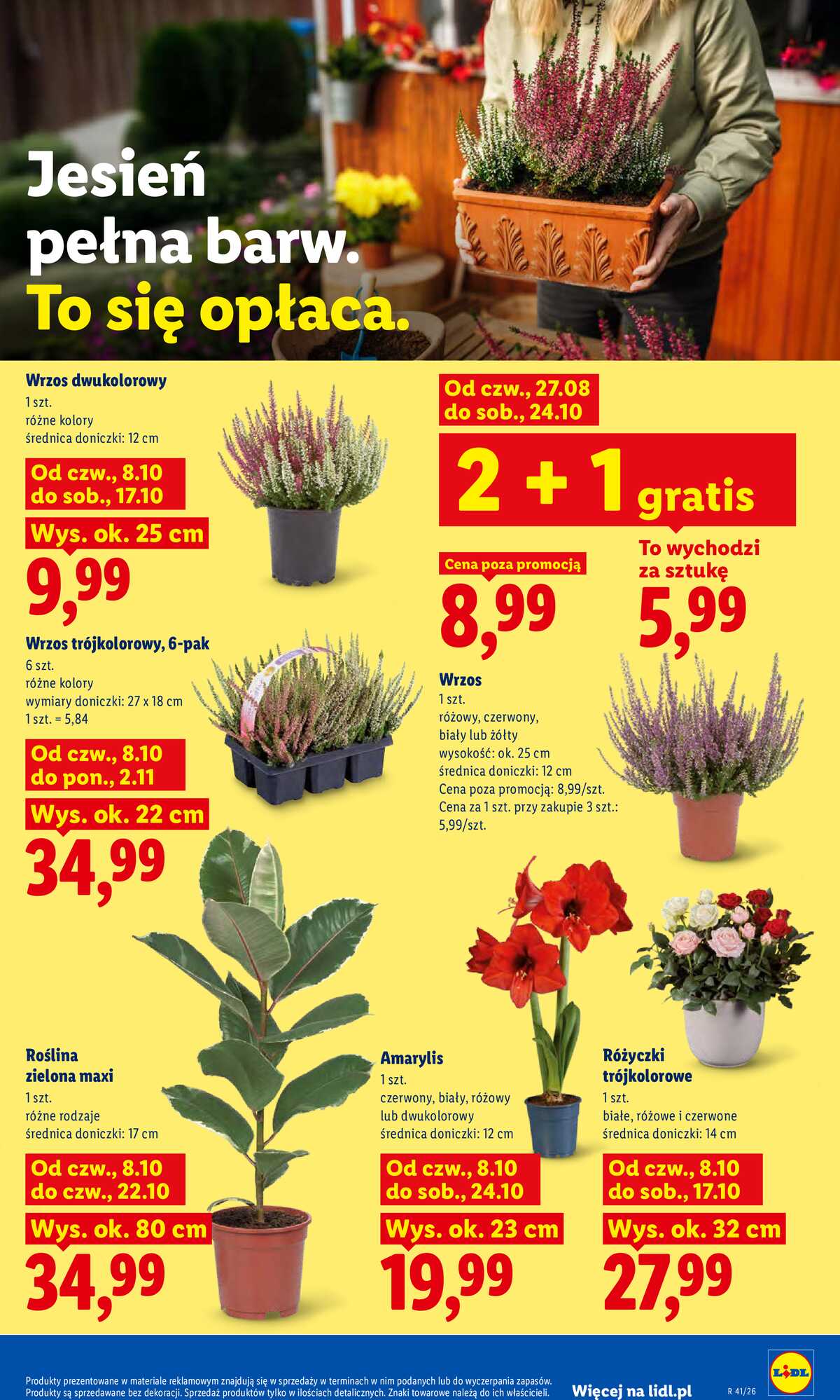 Leták Lidl Polsko 8.10.-10.10.2026 - Leták strana 85
