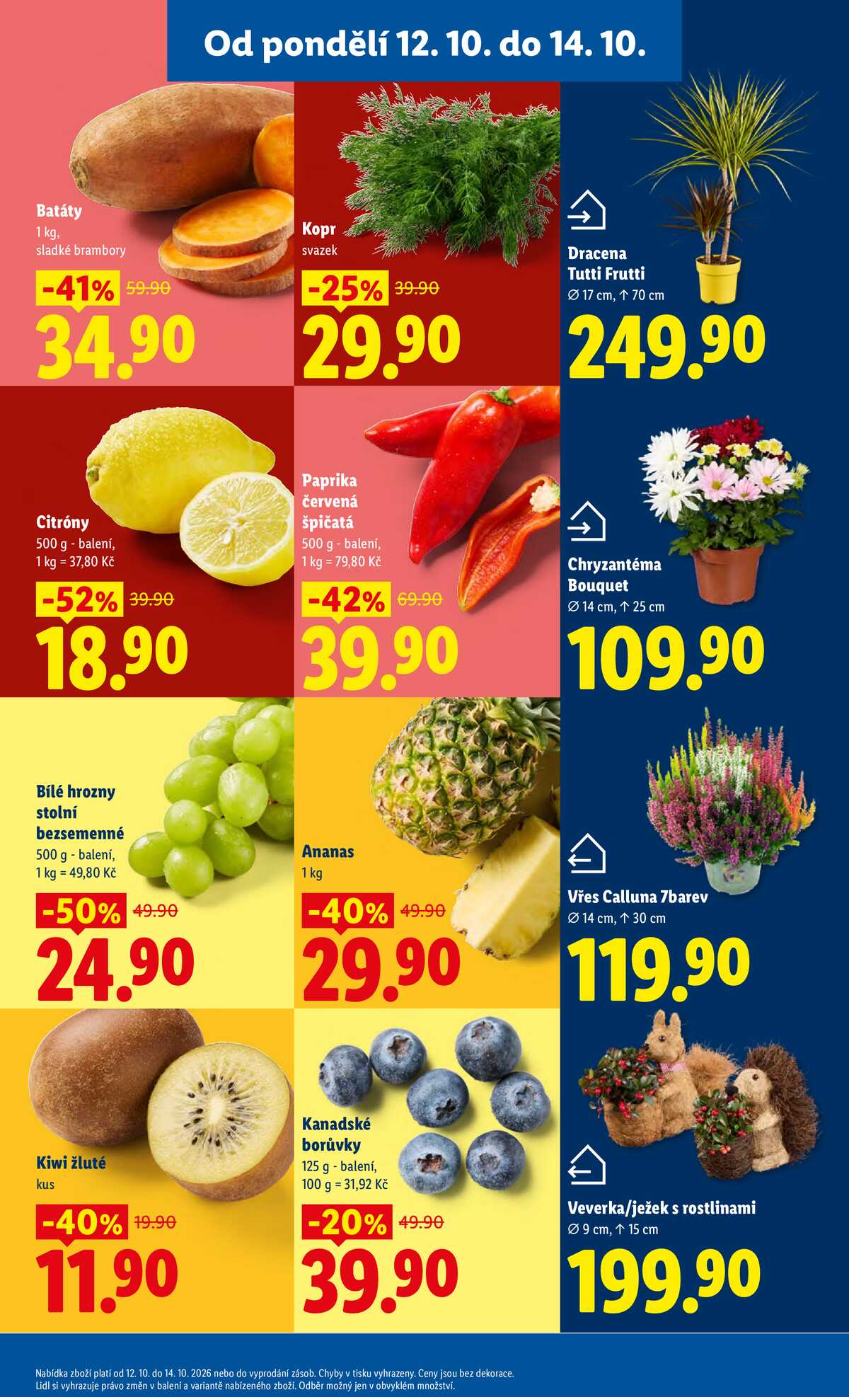 Lidl od 12.10. do 14.10.2026 strana 13