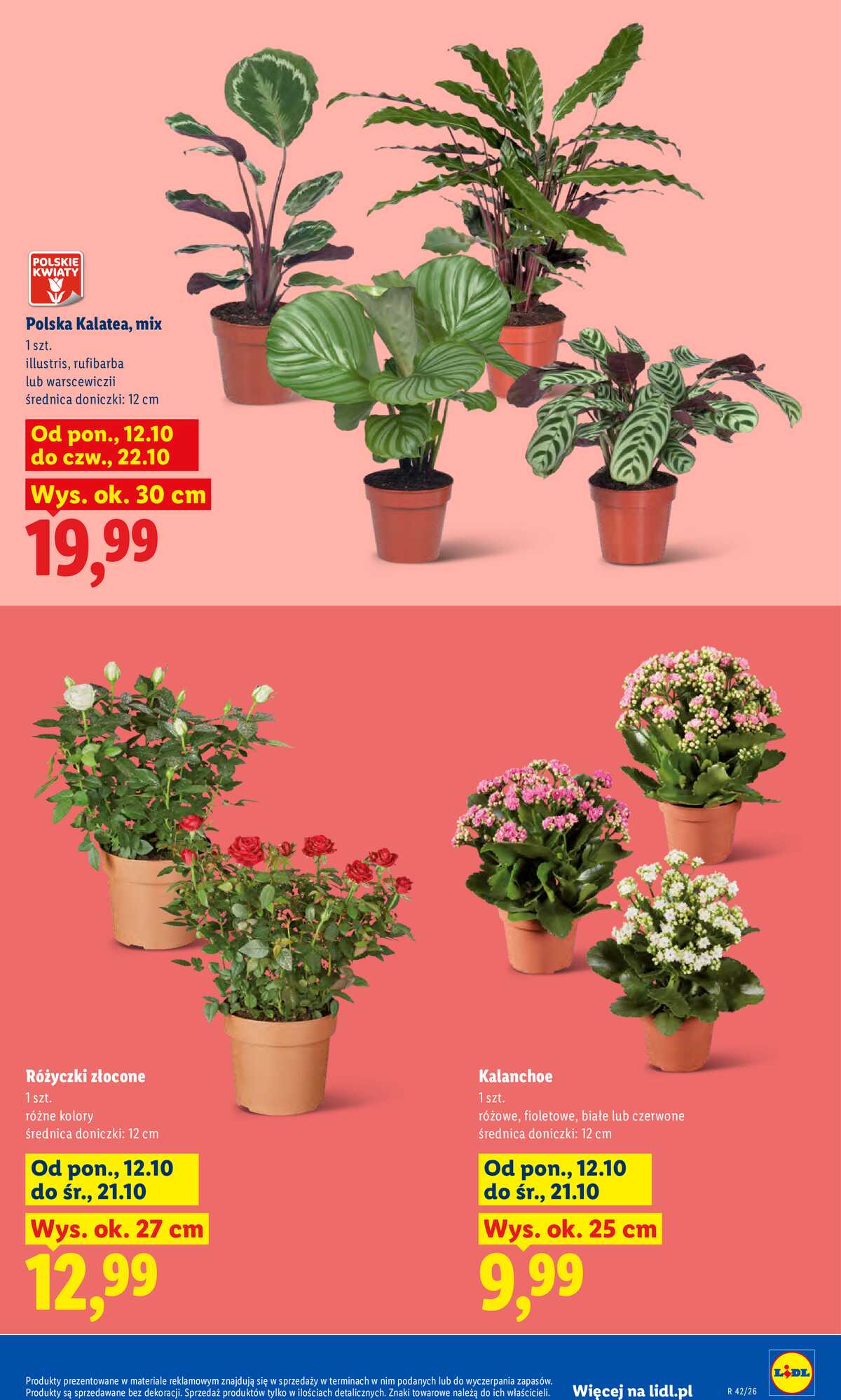 Leták Lidl Polsko 12.10.-14.10.2026 - Leták strana 9