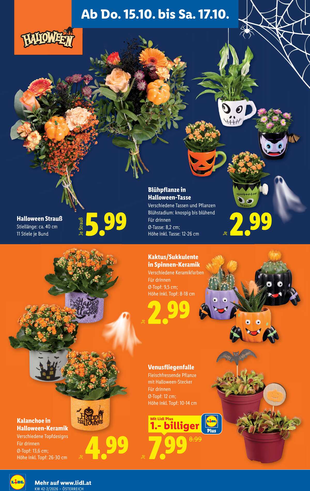 Leták Lidl Rakousko 15.10.-21.10.2026 strana 24