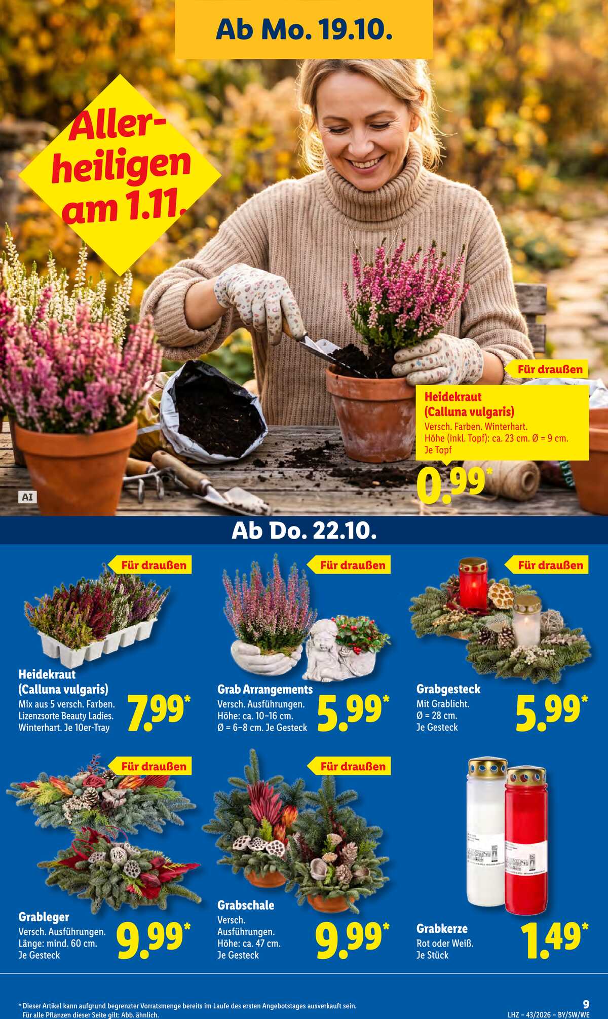 Leták Lidl Německo 19.10.-24.10.2026 strana 17