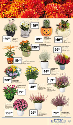 Tesco hypermarkety od 21.10. do 27.10.2026