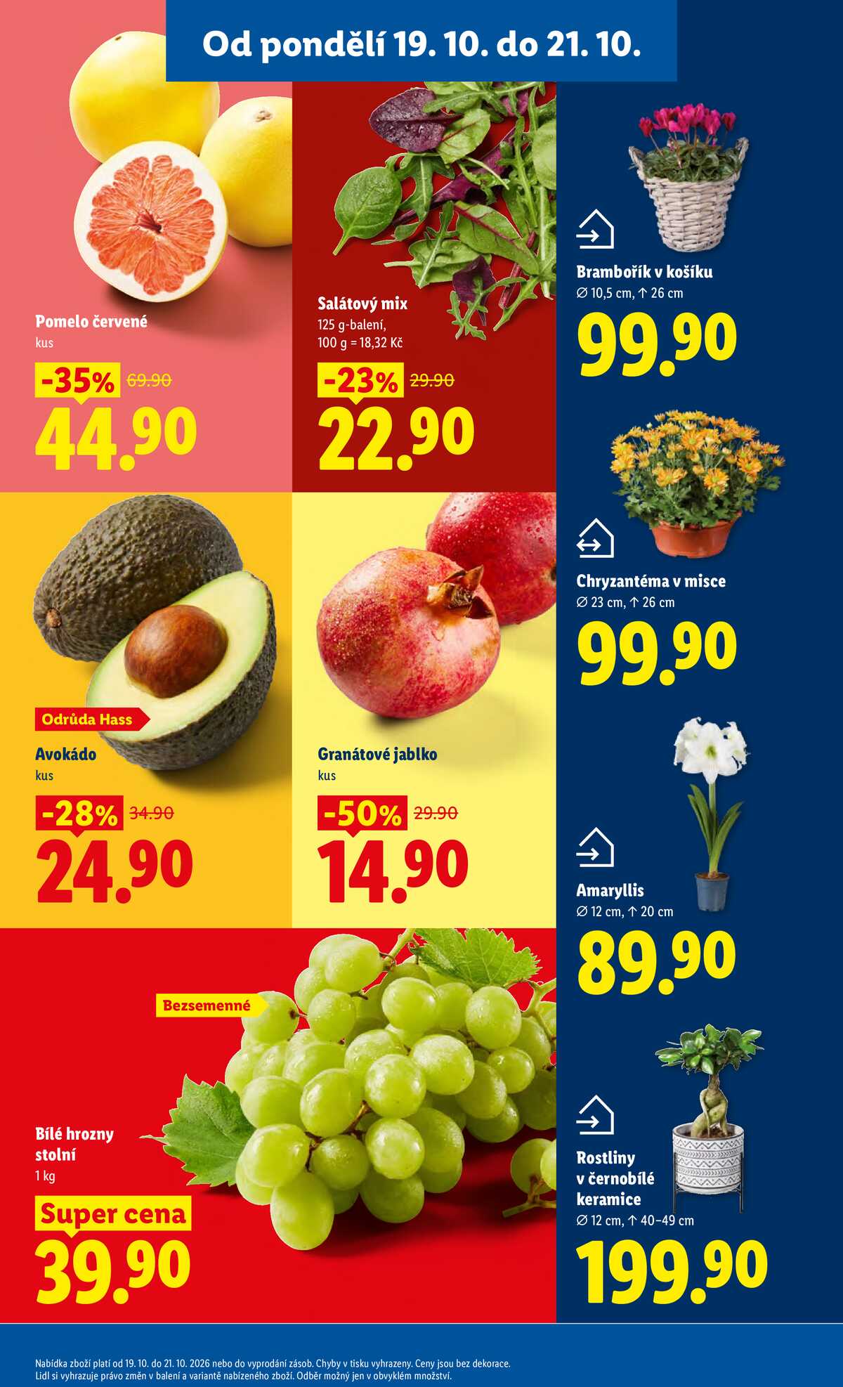 Lidl od 19.10. do 21.10.2026 strana 13