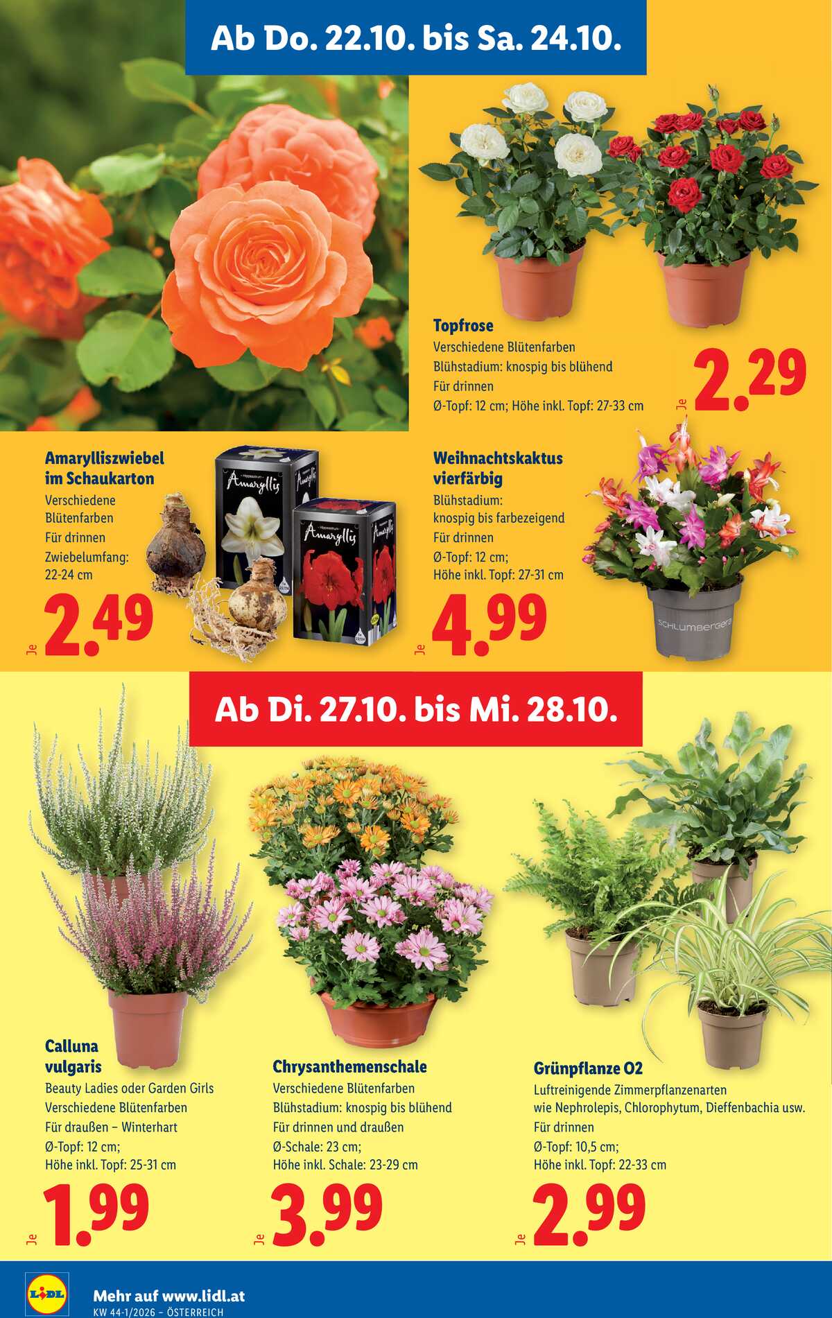 Leták Lidl Rakousko 22.10.-28.10.2026 strana 32