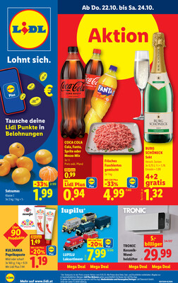 Lidl Rakousko (Österreich) letáky