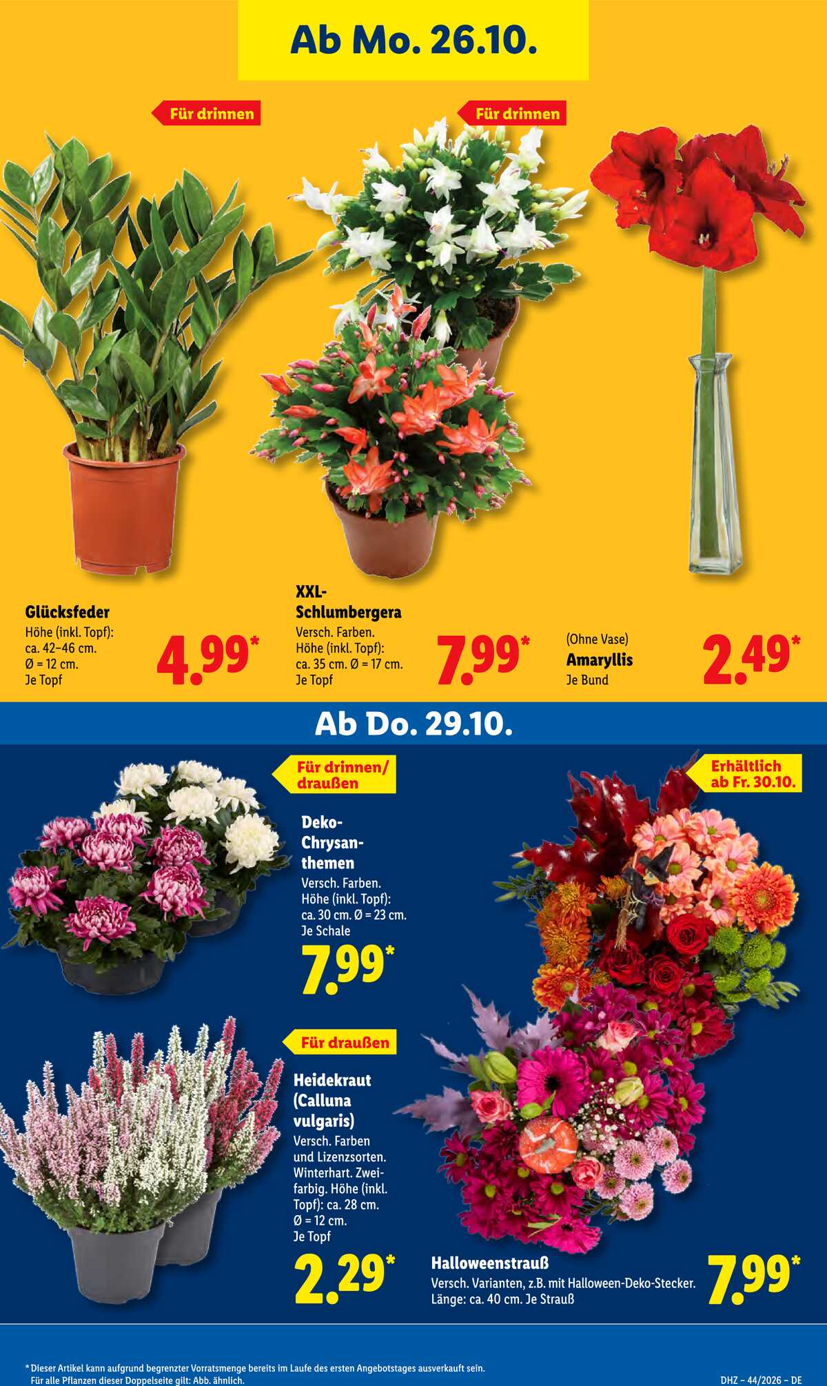 Leták Lidl Německo 26.10.-31.10.2026 strana 33