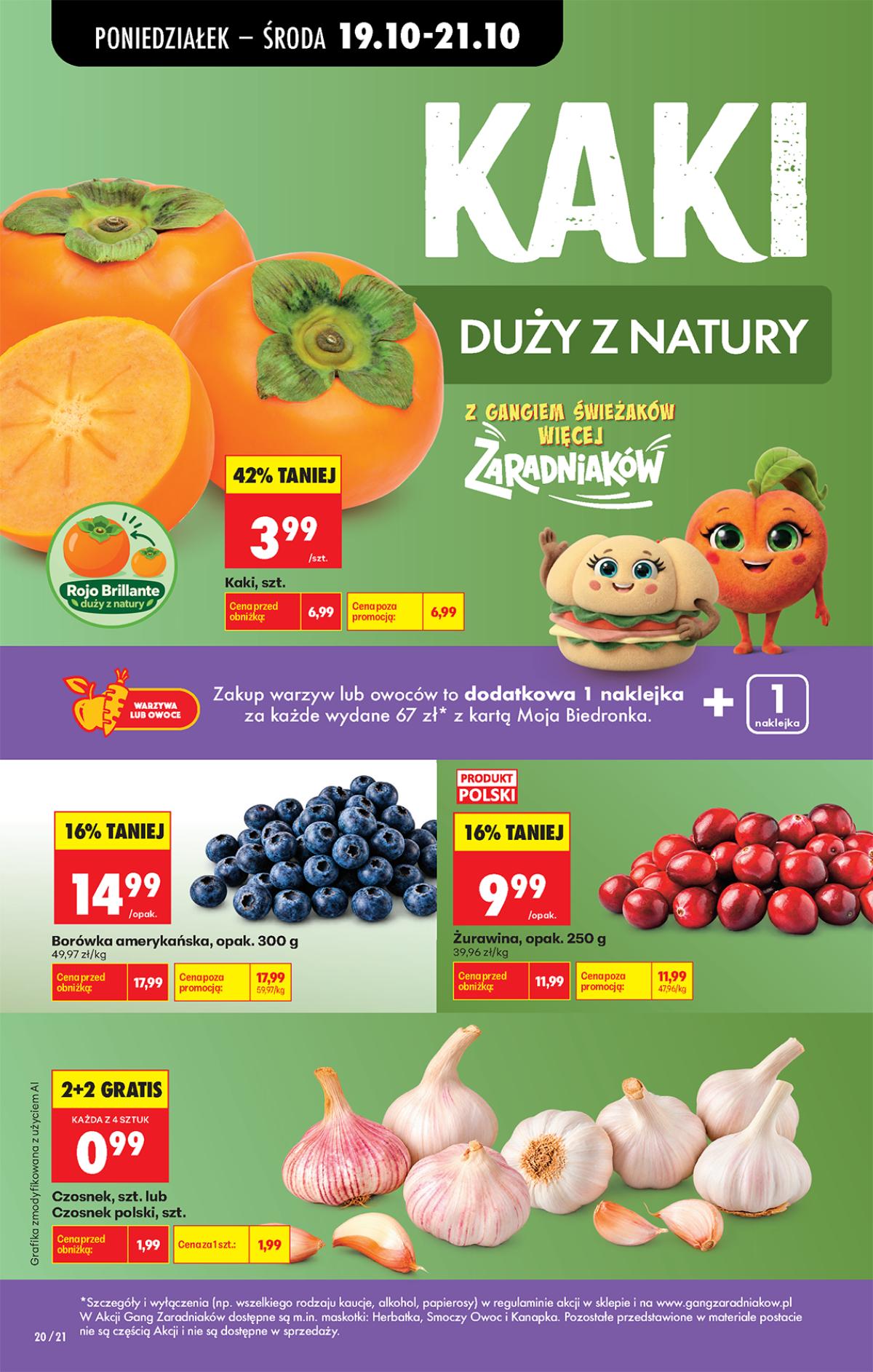Leták Biedronka Polsko 19.10.-25.10.2026 strana 26