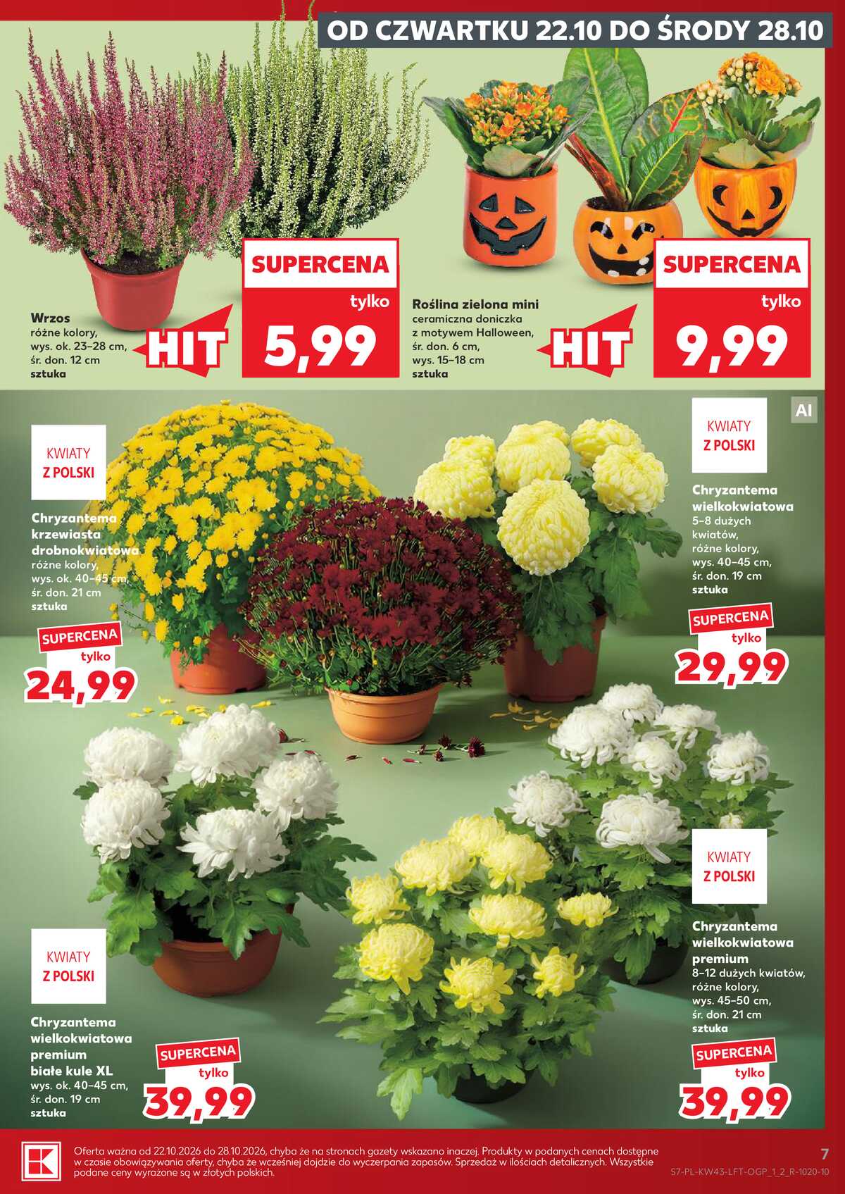 Leták Kaufland Polsko 22.10.-28.10.2026 - Týdenní zpravodaj strana 7