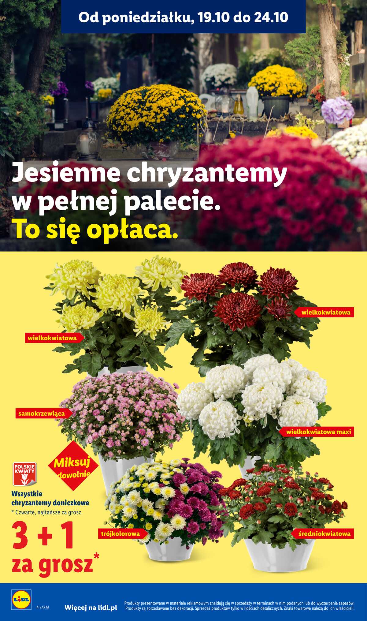 Leták Lidl Polsko 22.10.-24.10.2026 - Leták strana 102