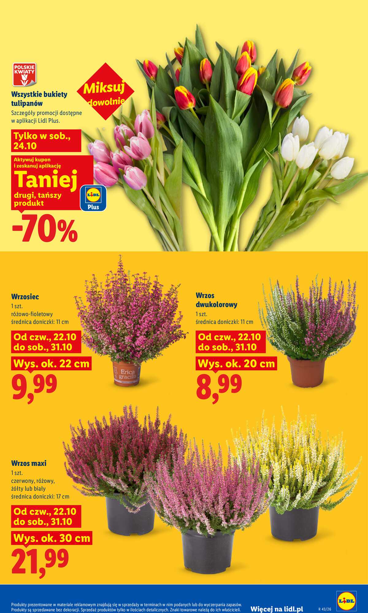 Leták Lidl Polsko 22.10.-24.10.2026 - Leták strana 103