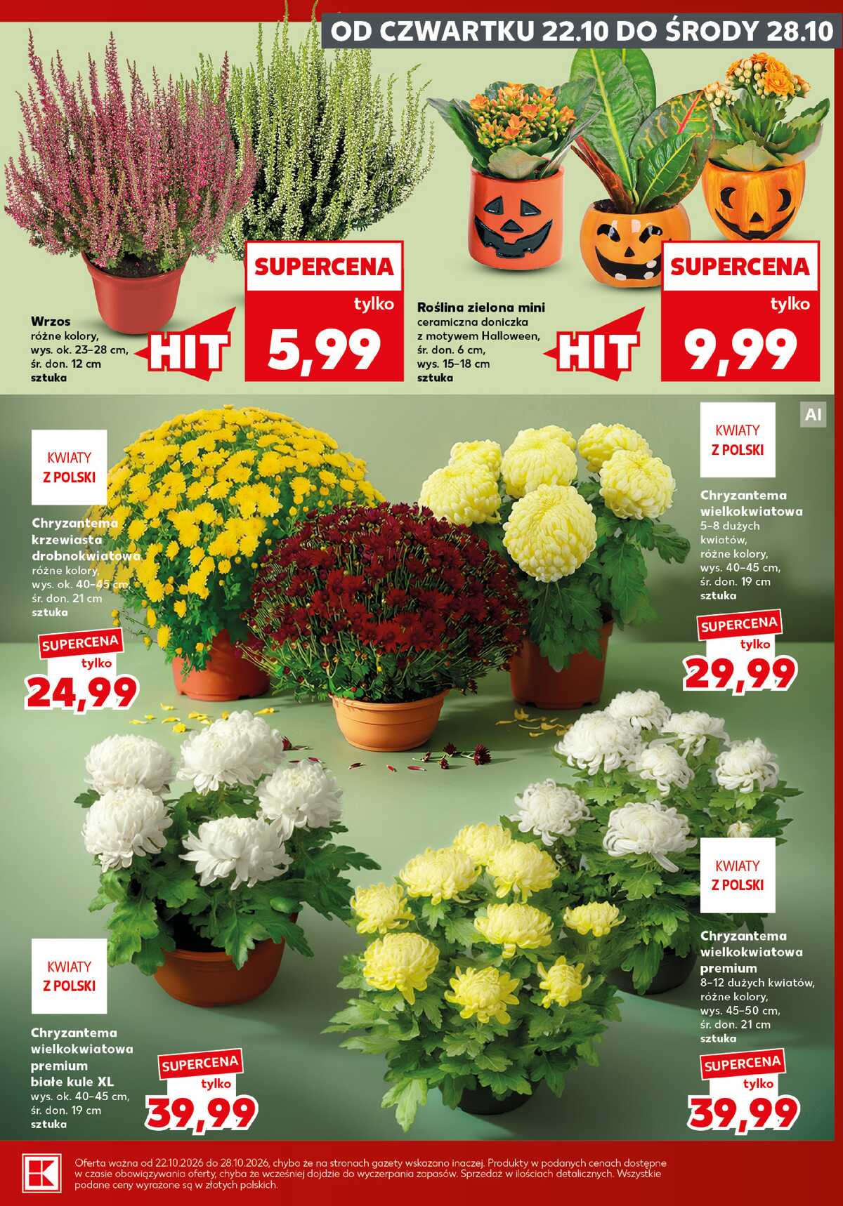 Leták Kaufland Polsko 26.10.-28.10.2026 - Silný start strana 5