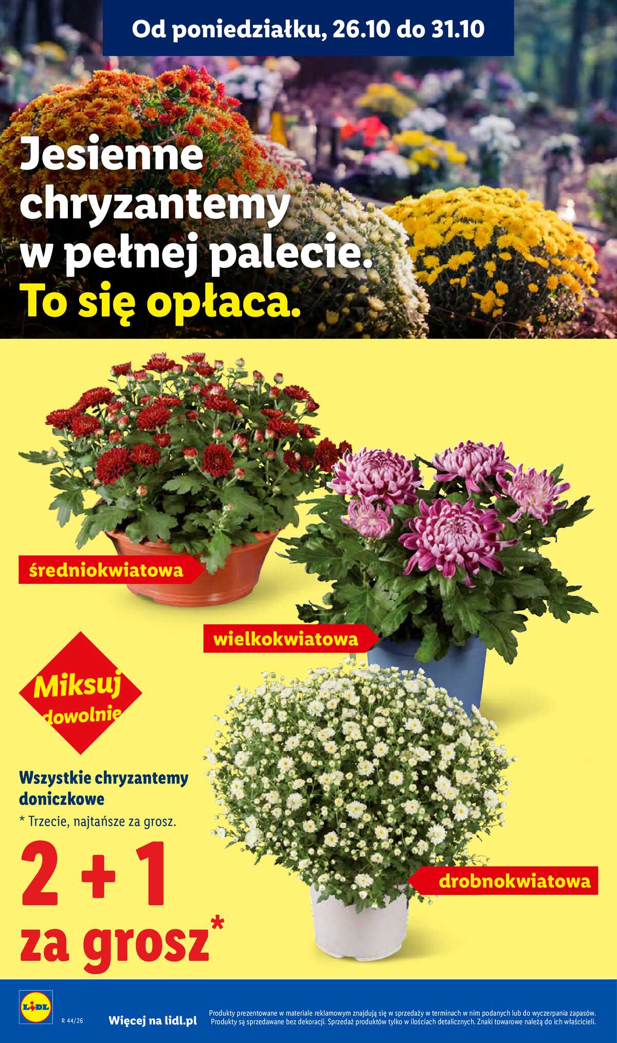 Leták Lidl Polsko 26.10.-28.10.2026 - Leták strana 44