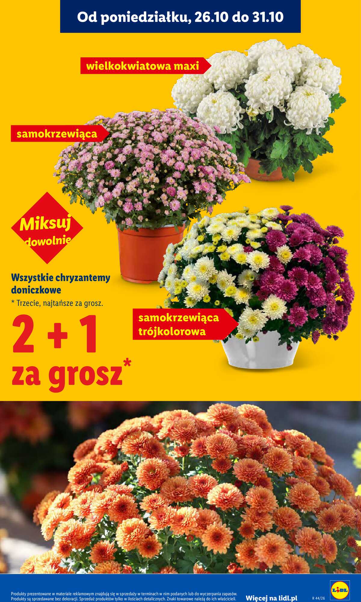 Leták Lidl Polsko 26.10.-28.10.2026 - Leták strana 45
