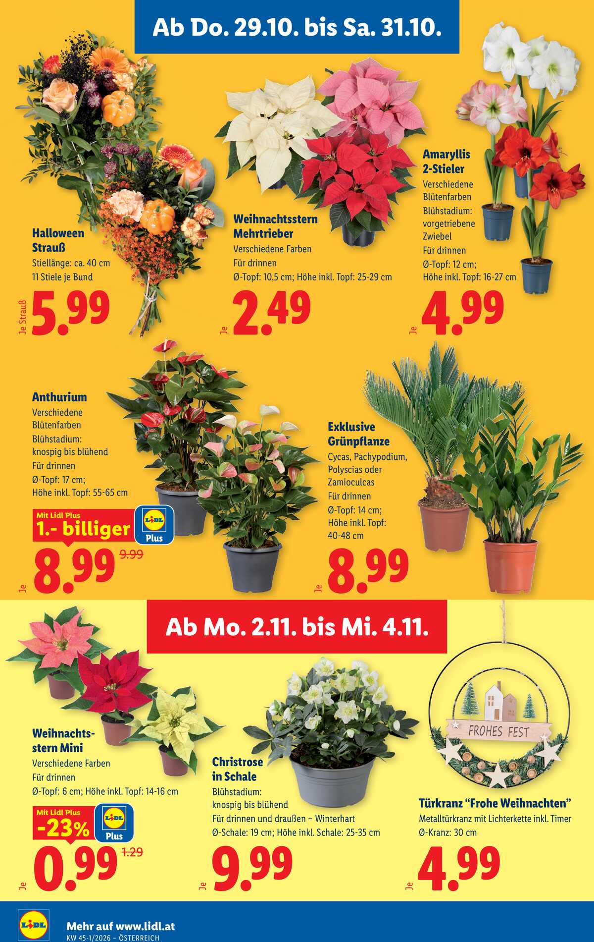 Leták Lidl Rakousko 29.10.-4.11.2026 strana 28