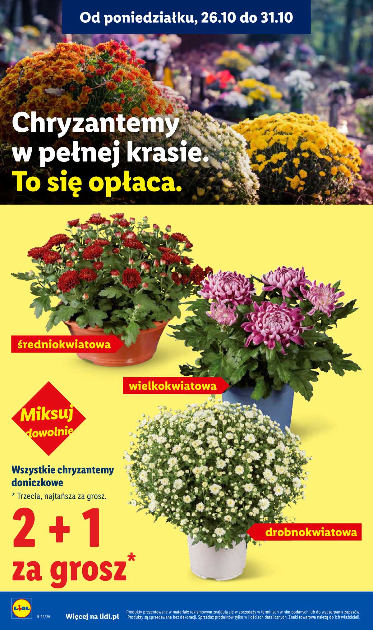 Leták Lidl Polsko 29.10.-31.10.2026 - Leták strana 4