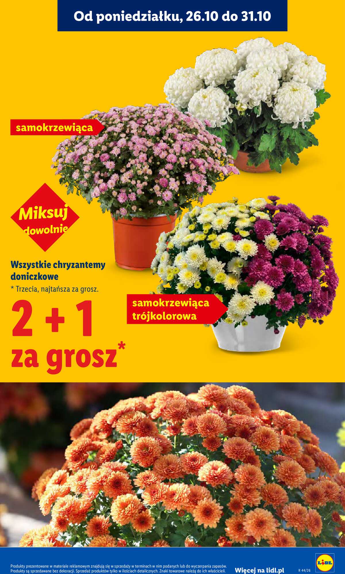 Leták Lidl Polsko 29.10.-31.10.2026 - Leták strana 5