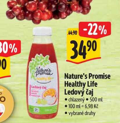 Nature's Promise Healthy Life Ledový čaj 500 ml