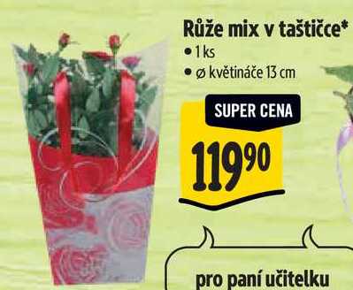Růže mix v taštičce*, 1 ks