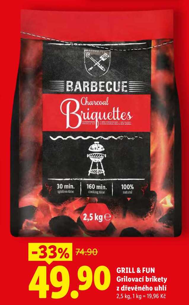GRILL & FUN Grilovací brikety z dřevěného uhlí, 2,5 kg