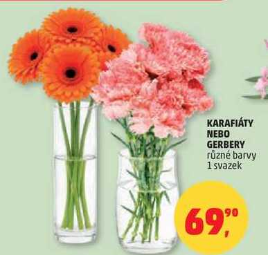 KARAFIÁTY NEBO GERBERY různé barvy, 1 svazek