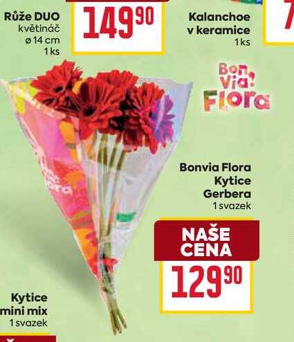 Bonvia Flora Kytice Gerbera 1 svazek