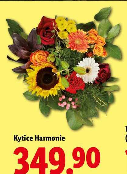 Kytice Harmonie