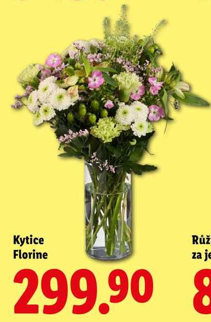 Kytice Florine